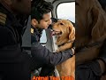 Helicopter Air Rescue — Golden Retriever Saves Pup from Pelican #dog #goldenretriever #rescue