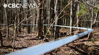 Why a maple syrup farm was told to vacate this land