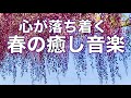 【春の癒し音楽】心が落ち着く癒しのピアノBGM|穏やかな陽だまりのようなリラックス音楽。自律神経を整える・ストレス解消・作業用BGM