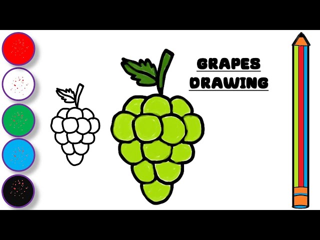Grapes Drawing Images | Free Photos, PNG Stickers, Wallpapers & Backgrounds  - rawpixel