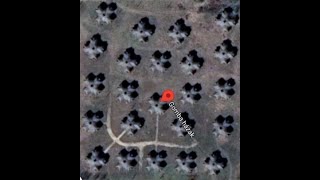 What does the DM do in massive CQB area Part 1.