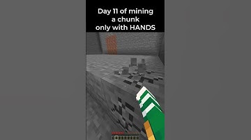 Day 11 of mining a chunk only with HANDS #minecraft