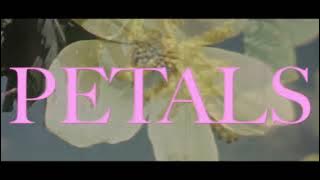 VOILÀ - Petals