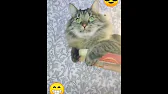 ЕЛЕНЕ И АЛЕКСЕЙ