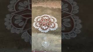 kolam today