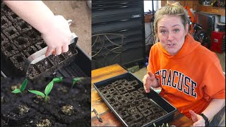 Using a LARGE Soil Blocker : Potting Up Peppers : Flower Hill Farm