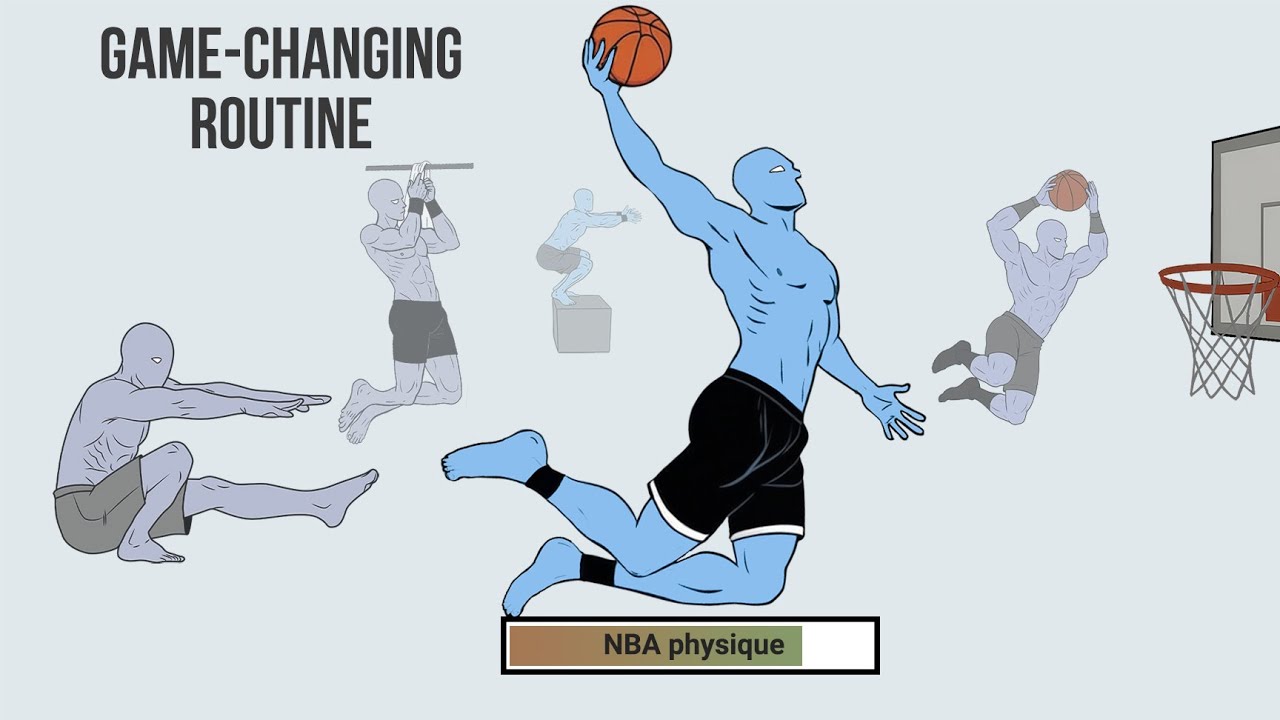 Телосложение баскетболиста