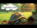 Digging a Cozy Home 🐢🏡 | Lofi Tortoise Builds a Burrow
