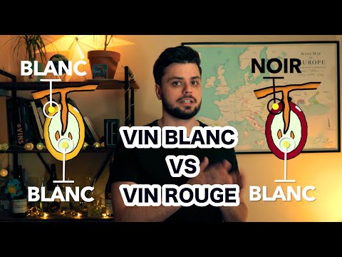 Vidéo: Quelle est la différence entre les vins blancs et rouges ?