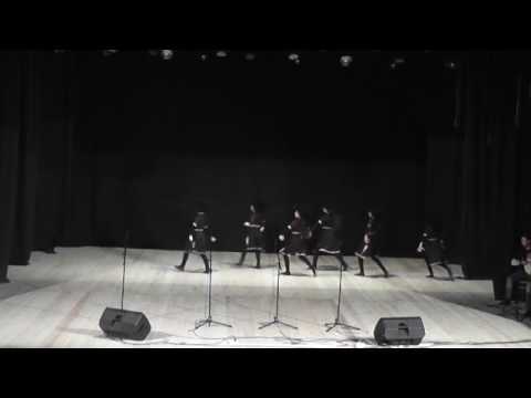 ვიზალიბერალიზაციას ჩოხატაურში კონცერტი მიუძღვნეს