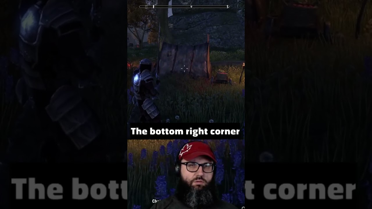 Trying to get to Bangkorai while intoxicated - The Elder Scrolls Online
