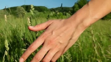 Epic montage of touching grass
