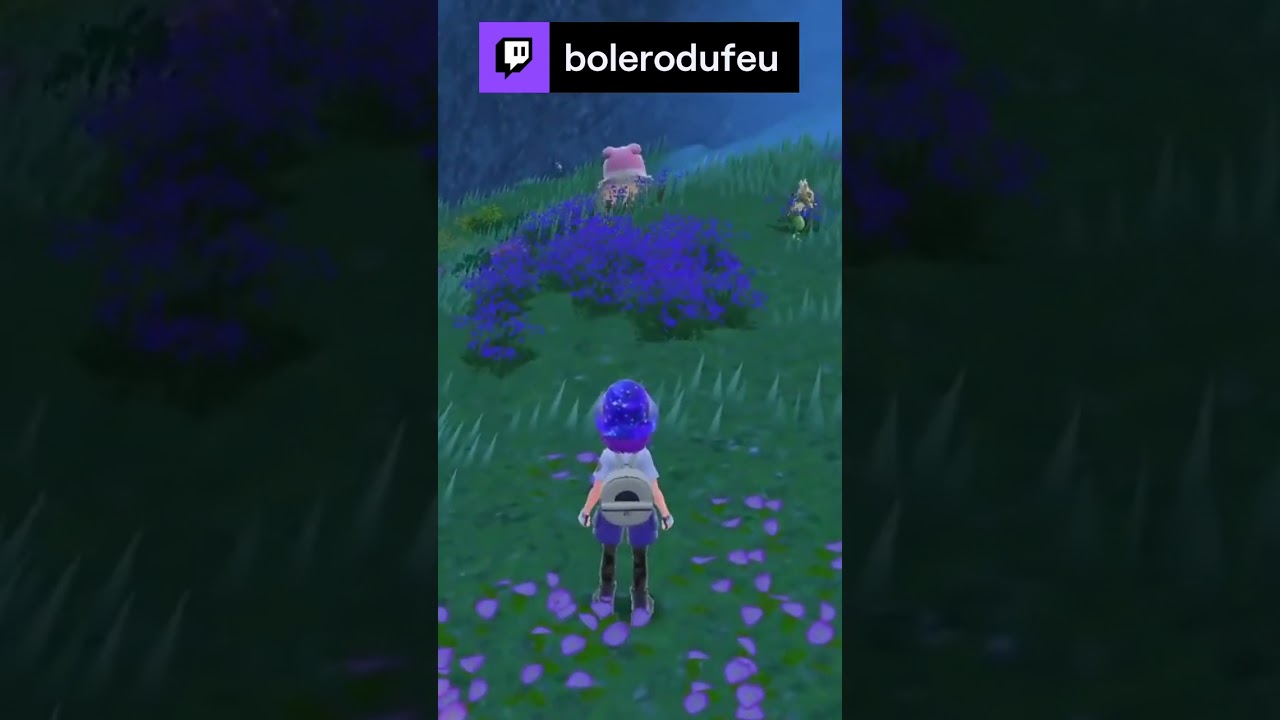 C'est pas l'euphorie hein Kappa | bolerodufeu sur 