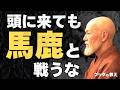 【絶対にやめろ】頭に来ても馬鹿には時間を使うな|ブッダの教え