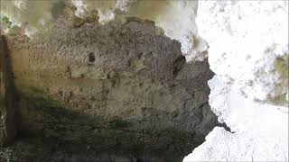 Egyptian fruit bat in a cave (Rousettus aegyptiacus)  Νυχτοπάππαρος - Φρουτονυχτερίδα -Cyprus 6/2023 by George konstantinou - Cyprus Wildlife tours 132 views 10 months ago 1 minute, 49 seconds