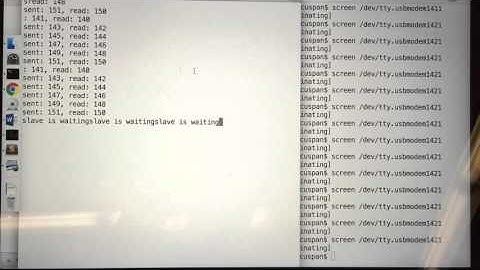 SPI Master and Slave Counter
