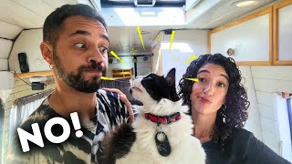 WE MOVE THE MOST CONFLICTIVE CAT TO A MOTORHOME by Viendo qué Pinta 2,342 views 1 month ago 21 minutes