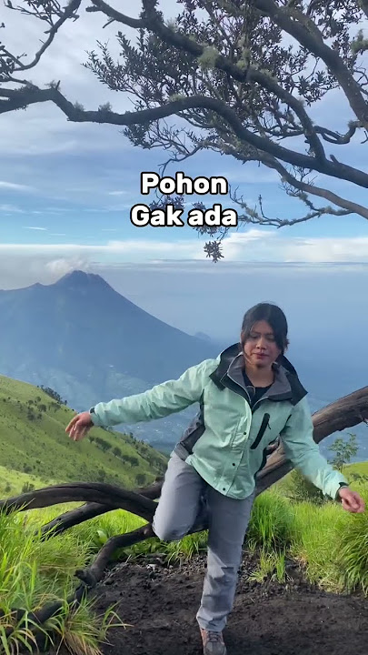 Kemana lagi ya