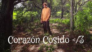 Corazón Cosido - Andrez Babii (Official Audio)