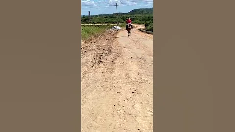 cavalgada.