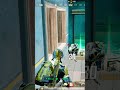 Pubg 2026 Pubg Video PUBG LIVE ✅️ Pubg New State ✅️ PUBG Mobile 📱Pubg Lite. PUBG VS Free Fire