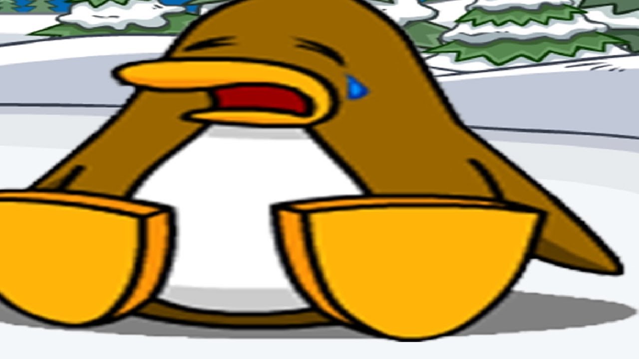 gajet room how the fuck do does fruity lsd work