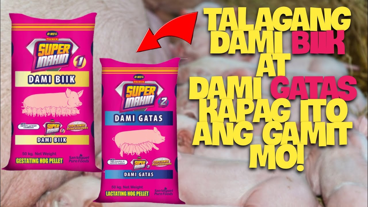 Super Inahin Super Inahin 1 and 2 ,, Talagang dami biik at dami gatas - YouTube