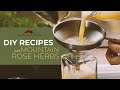 Diy recipes with mountain rose herbs