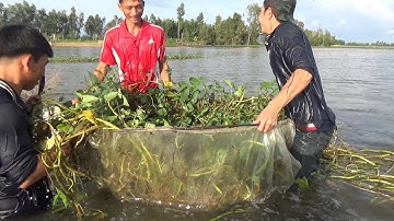 CÁCH BẮT LƯƠN TỪ THỜI XƯA Ở MIỀN TÂY MÙA NƯỚC NỔI - TT954