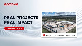 Real Projects Real Impact GoodWe Powers Animal Feeds Factory in Africa