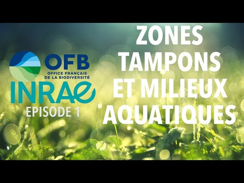 C’est quoi une Zone Tampon écologique ? ? (EP1)