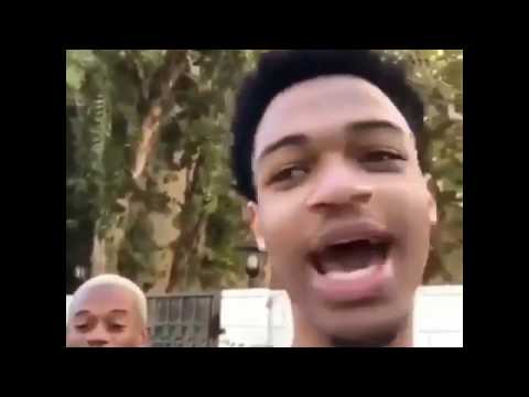"that's-a-great-idea!-i'm-with-that"---dope-island-funny-meme-vine-video-clip-about-chicken-&-eggs