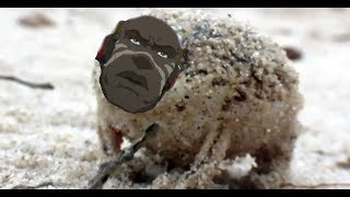 A Very Angry Doomfist