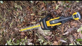 DEWALT 20V MAX Hedge Trimmer, Quit Doing the Ladder Shuffle!