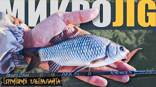 видео: ПОЛОВИЛ НА ДВА СПИННИНГА И СРАВНИЛ ИХ. CF Arion 742SULS и Arion 702ULS ► МИКРОДЖИГ картинка: ПОЛОВИЛ НА ДВА СПИННИНГА И СРАВНИЛ ИХ. CF Arion 742SULS и Arion 702ULS ► МИКРОДЖИГ