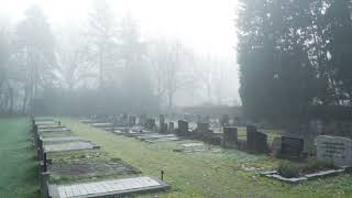 Vídeo de Undertakers Reel