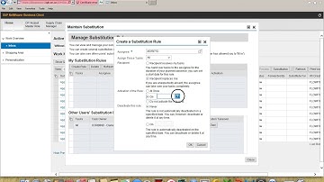 Approver  -  Assigning Delegates during Absences