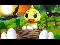 পাখি এবং কোকিল ডিম - Bird and Cuckoo Eggs | 3D Animated Bangla Moral Stories | JOJO TV FairyTales
