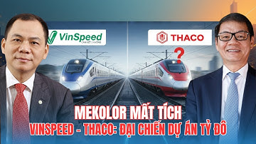 Đường Sắt Cao Tốc Bắc Nam: Cuộc đối đầu VINSPEED vs THACO và sự biến mất bí ẩn của Mekolor!