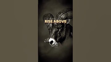 Rise Above: Unleash Your True Potential | Motivational Speech to Ignite Your Success #Motivation #yt