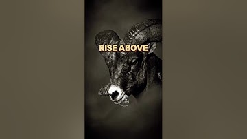Rise Above: Unleash Your True Potential | Motivational Speech to Ignite Your Success #Motivation #yt