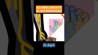 La CAUSA del ADORMECIMIENTO de PIERNAS Y MANOS en DIABETICOS #doctor #consejos #ciencia #salud #dr