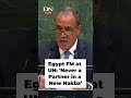 Egypt FM at UN: Never a Partner in a New Nakba