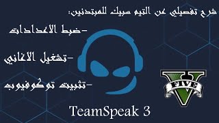 شرح تفصيلي عن التيم سبيك للمبتدئين: ضبط اعدادات و تشغيل الاغاني screenshot 1