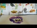 Watercolor Violet Flower Painting
