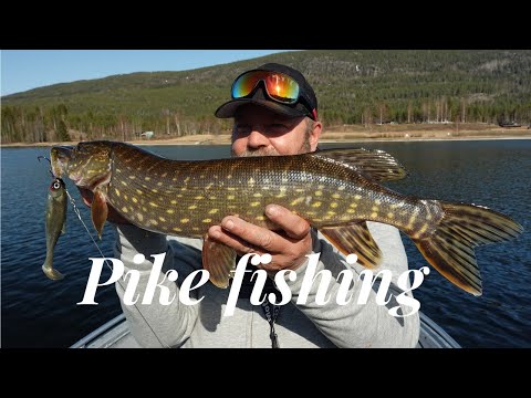 Video: Venter På Frysing, Fiske I Den Første Isen