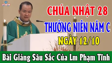 CHÚA NHẬT 28 THƯỜNG NIÊN NĂM C (Ngày 12/10) Bài Giảng Sâu Sắc Của Cha Phạm Tĩnh