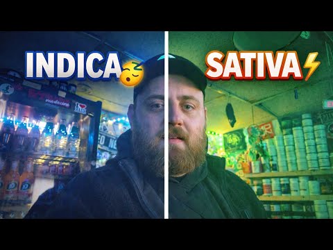 Sativa vs Indica… Does It Even Matter Anymore? 🤔 | UK Medical Cannabis