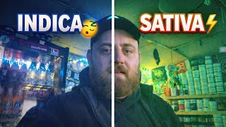 Sativa vs Indica… Does It Even Matter Anymore? 🤔 | UK Medical Cannabis