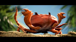 Crab rave - 1,099,511,627,776 times